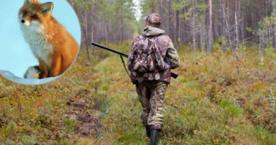 Шановні жителі району!